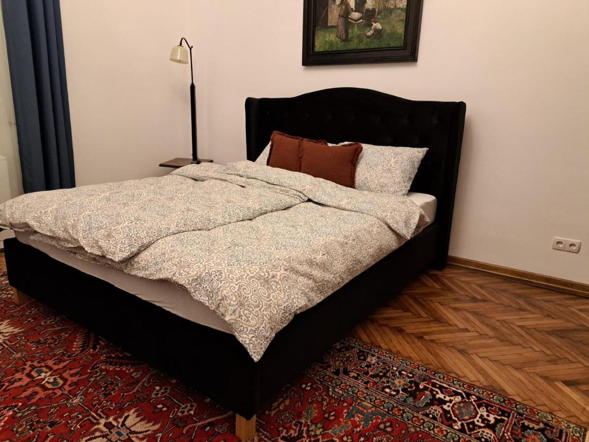 Weisz Apartment-City Center-Free Private Parking,Wifi,Ac Carei Exterior foto